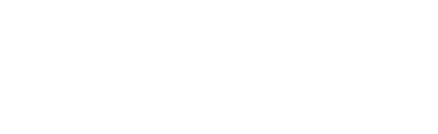 Bridge MENA