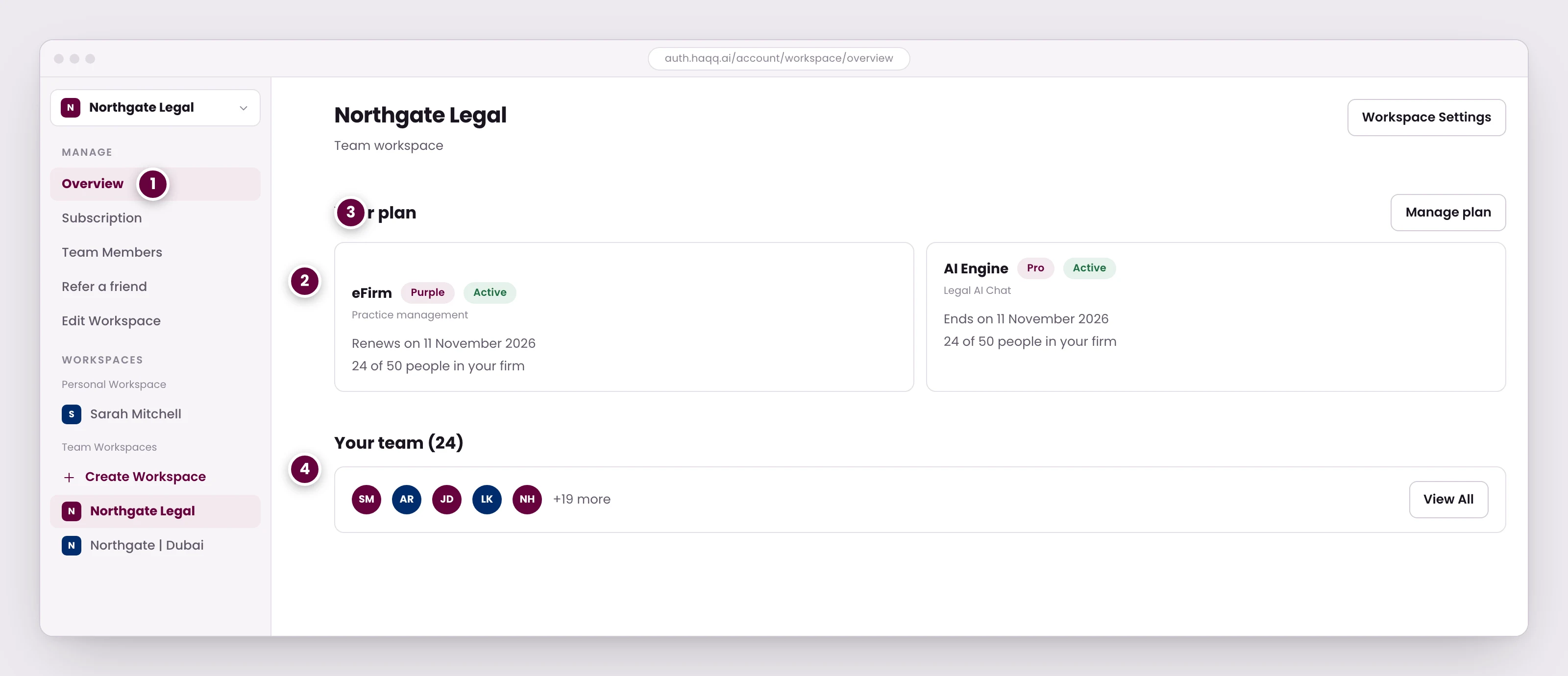 The Your plan section of the HAQQ Account Hub, showing eFirm and the AI Engine as two separately tiered product lines on one workspace.